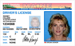 The New Digital Drivers License